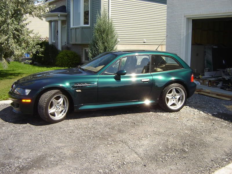 Boston Green Metallic?